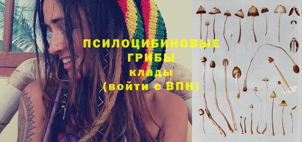 бутират Заводоуковск