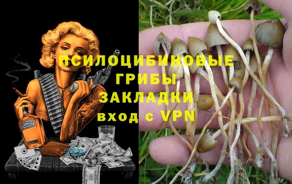 бутират Заводоуковск