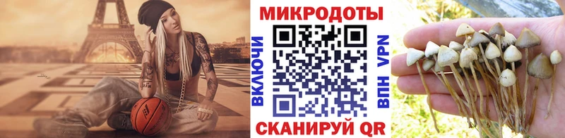 Псилоцибиновые грибы мухоморы  Купить где  Полтавская 